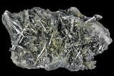Metallic Stibnite Crystal Cluster with Quartz - China #97810-1